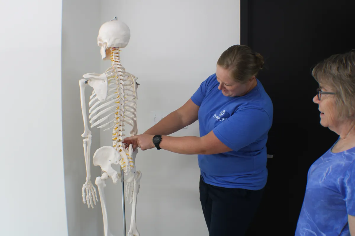 Physical therapist demonstrating anatomy model